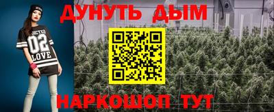 прущие грибы Можга