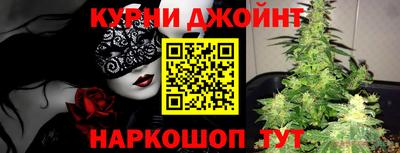 дживик Моздок