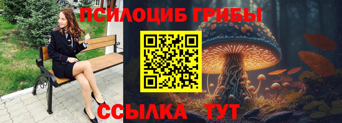 Псилоцибиновые грибы мицелий Уссурийск