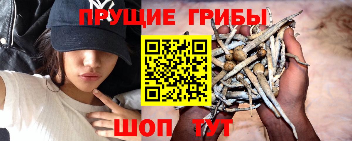 Уссурийск  Псилоцибиновые грибы ЛСД  Вход с VPN 